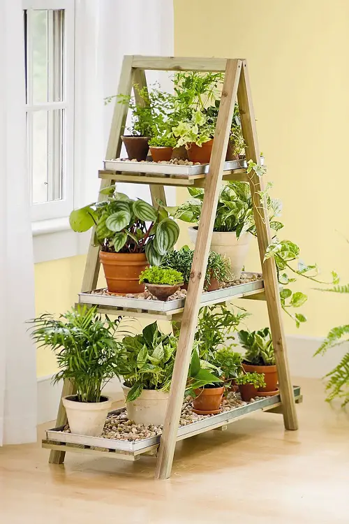 A Frame Plant Stand for Multiple Plants 23