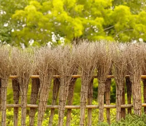 Vegetable Garden dried bush Fence Ideas 15