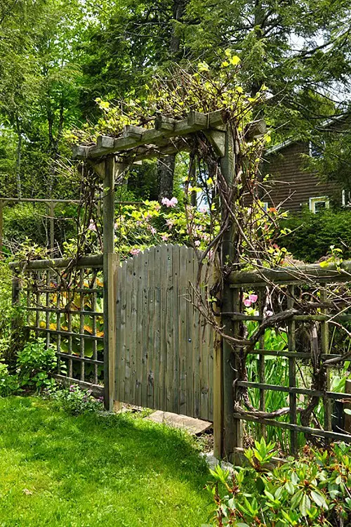 Vegetable Garden Old screen door Fence Ideas