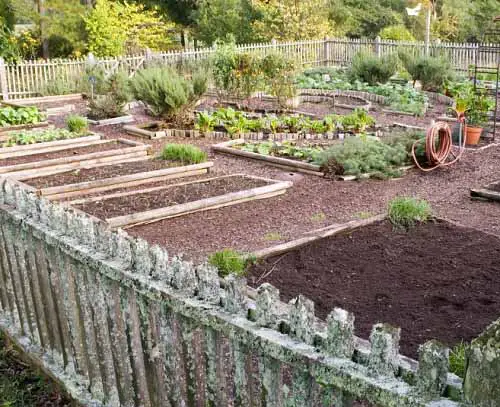 Vegetable Garden Rustic metal Fence Ideas 19
