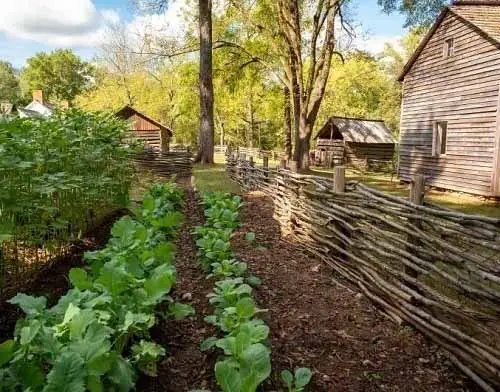 Vegetable Garden Twig Fence Ideas