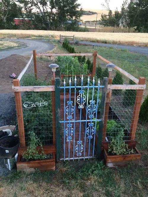 Vegetable Garden Wooden Gate With metal Fence Ideas 25