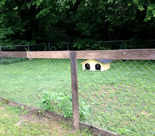 Vegetable Garden Chain Link Fence Ideas