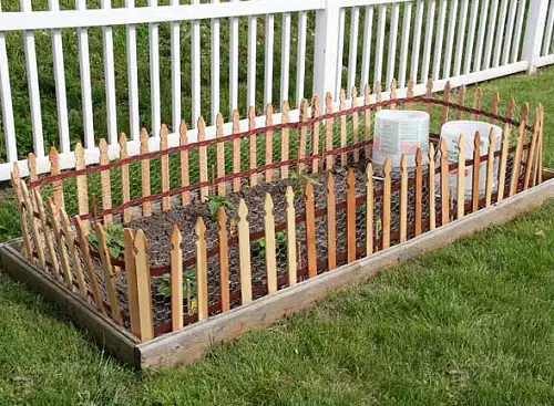 Vegetable Garden Low budget Fence Ideas 27