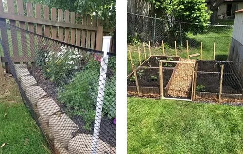 Vegetable Garden Plastic mesh Fence Ideas
