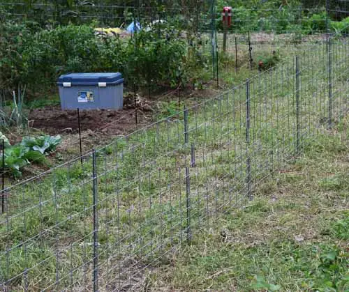 Vegetable Garden metal Fence Ideas 7