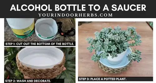 Alcohol Container Saucer for plant