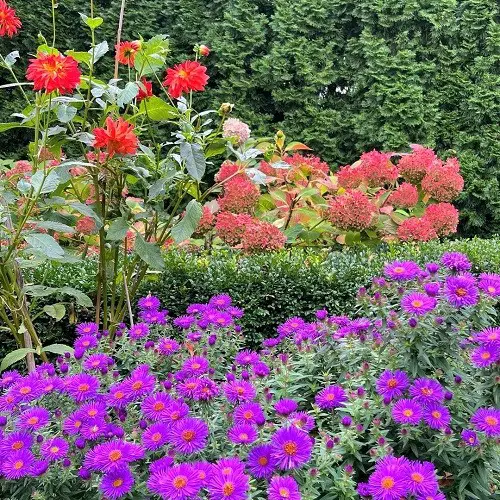 Types of plants to grow in fall