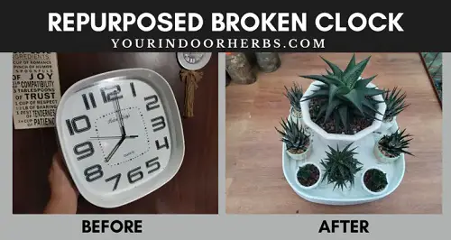 DIY Plant Saucer Ideas