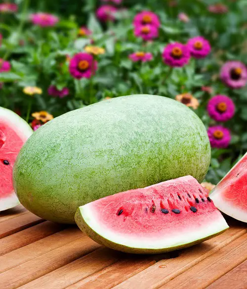 best Sweetest Types of Watermelon