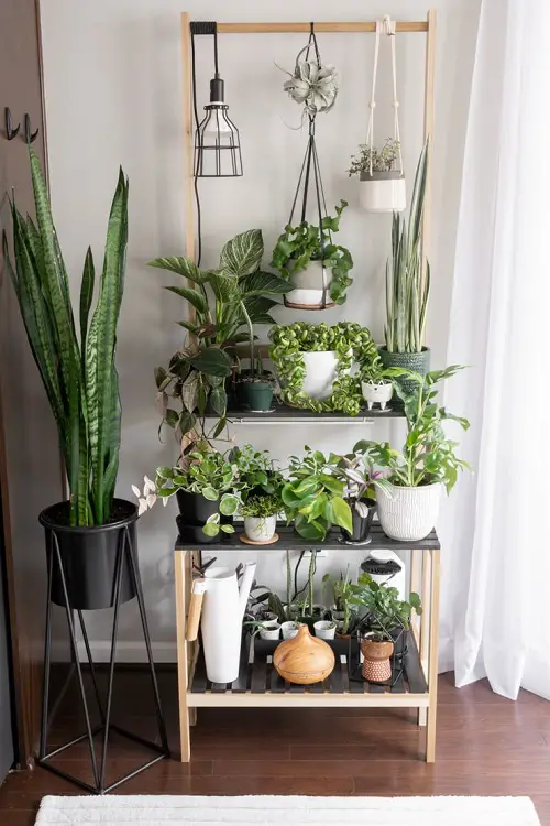 Wood and Metal Rack for Multiple Plants