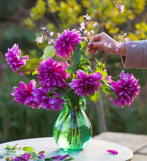 The most stunning magenta flowers.