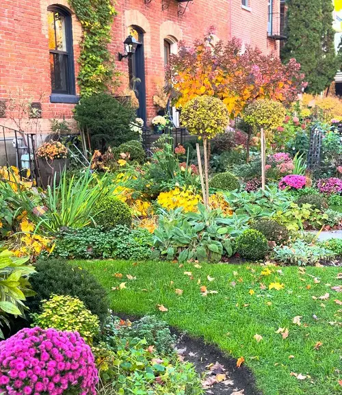 Types of Plants to Grow in Fall