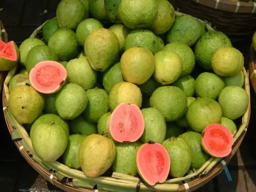 juicy Top Red and Pink Guava Types 