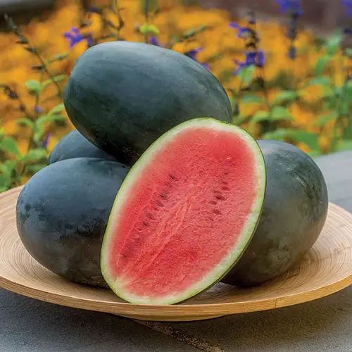 best Sweetest Watermelon Varieties