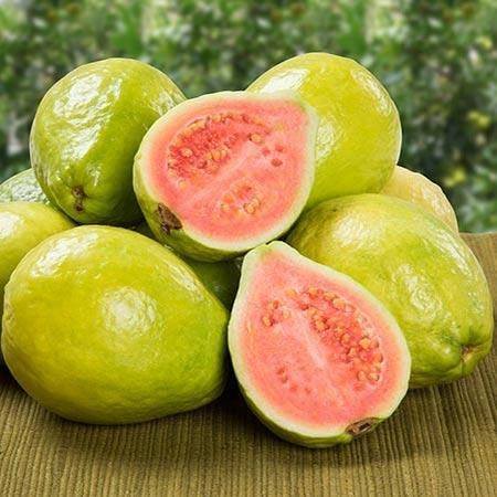 Top Red and Pink Guava Types