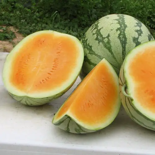 Sweetest Types of Watermelon