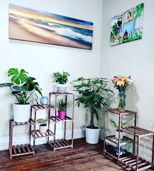 Minimal Indoor Plant Stand Setup Multiple Plants 21
