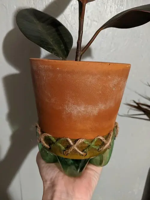 Plastic Bottle DIY Plant Saucer