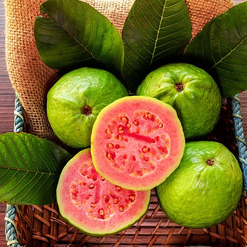 amazing Best Red and Pink Guava Varieties
