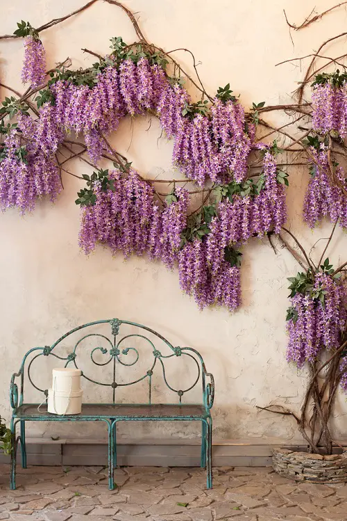Types of Pink Flowers for Garden in pot