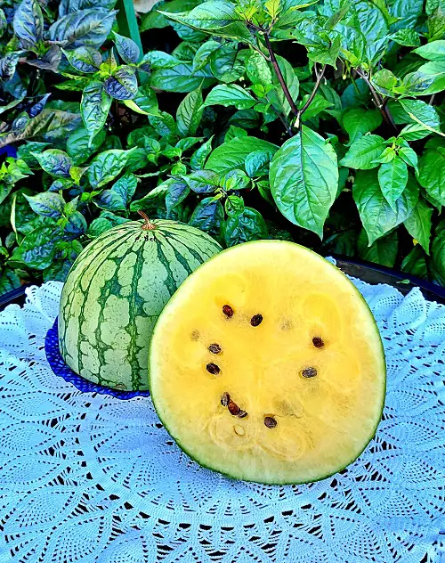 The Sweetest Types of Watermelon
