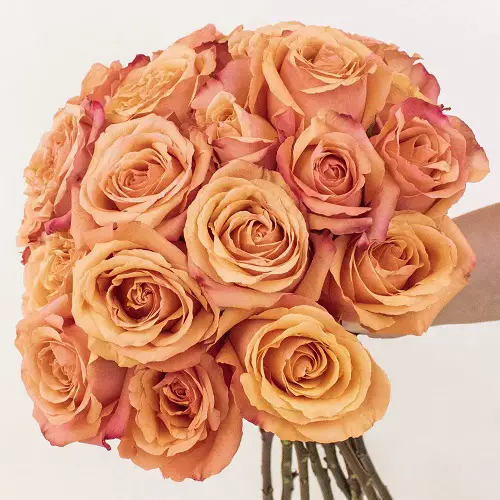 The Best Types of Brown Roses 