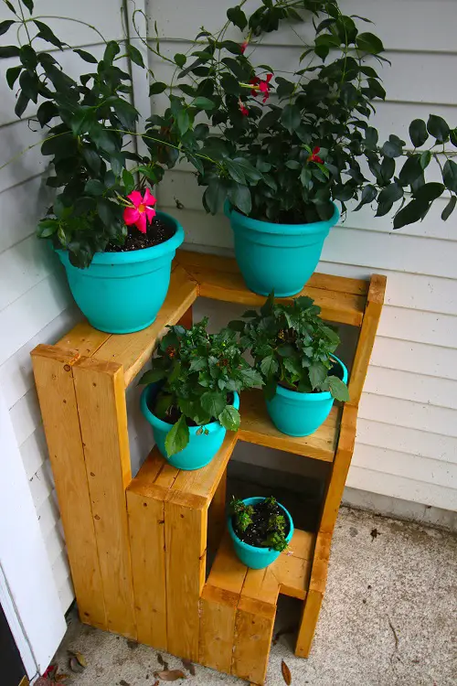 Easy DIYs on Indoor Plant Stands for Multiple Plants