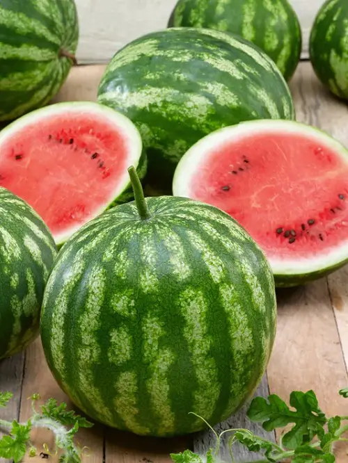 The Sweetest Types of Watermelon