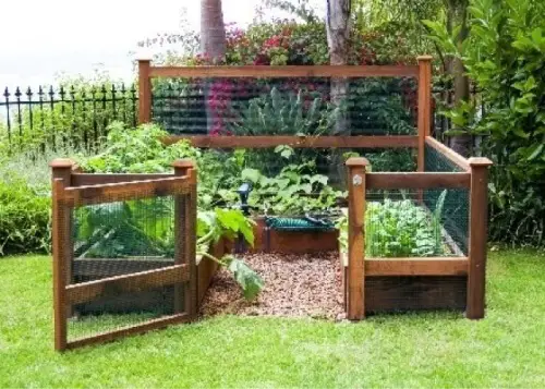 Vegetable Garden Raised bed Fence Ideas