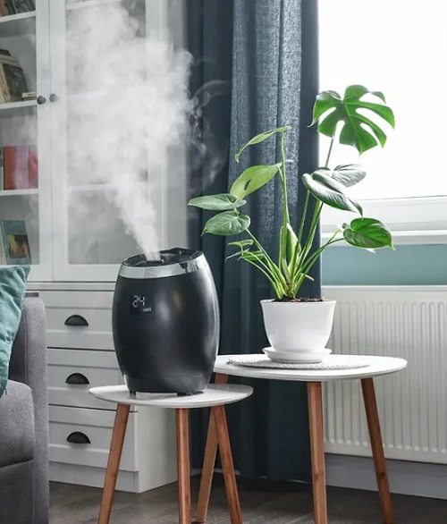 humidifier near potted plant indoors