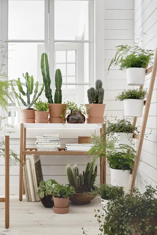 Table Plant Stands for Multiple Plants