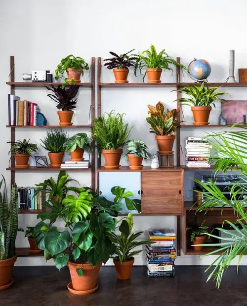 Wooden Wall Plant Stands for Multiple Plants 15