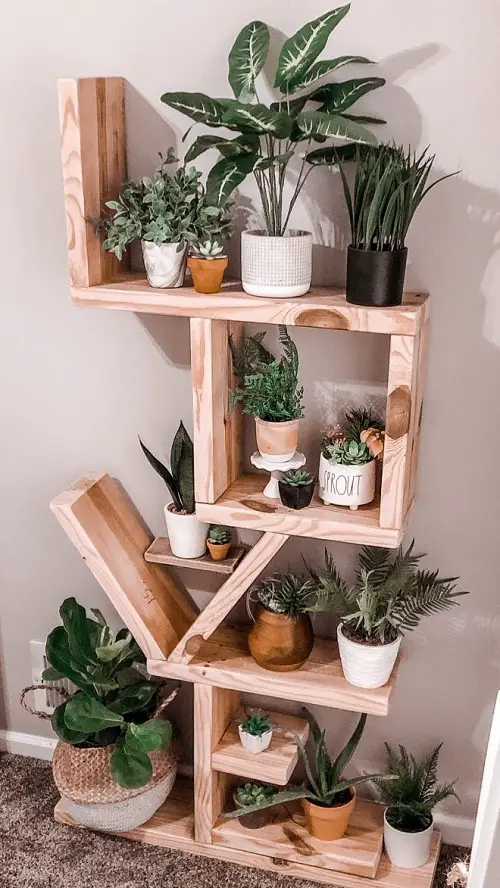 A Designer Plant Stand