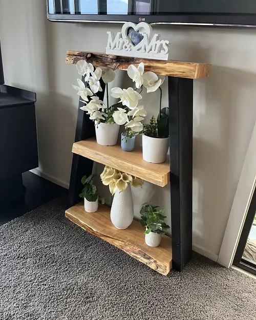 Wooden Ladder Plant Stand