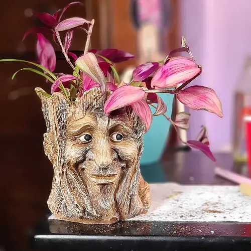 Grow Wandering Jew in a quirky pot