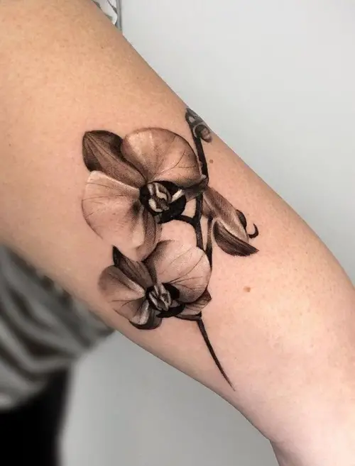 Shaded Orchid Tattoo