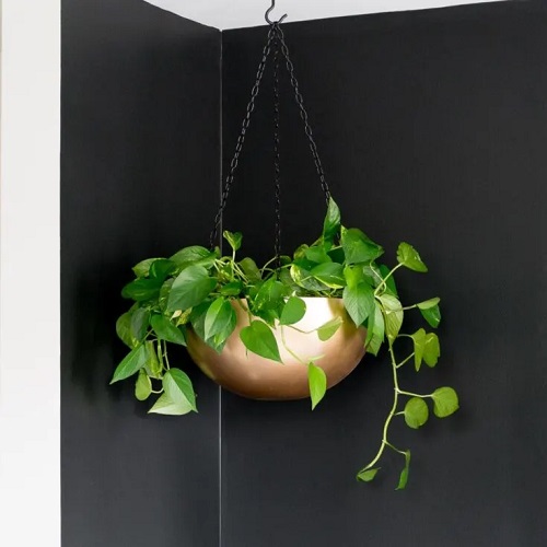 Diy Pothos Hanging Bowl of Stainless Steel