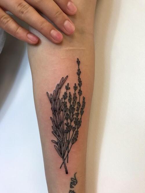 Black and White Rosemary and Lavender Ink