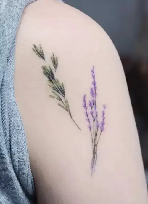 No Outline Rosemary and Lavender