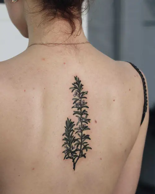 Rosemary Sprig on Spine tattoo
