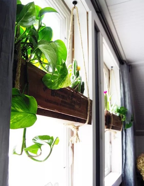 Windowpane Hangers from Flower Boxes