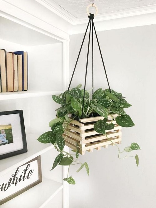 DIY Pothos Wooden Crate Hanger