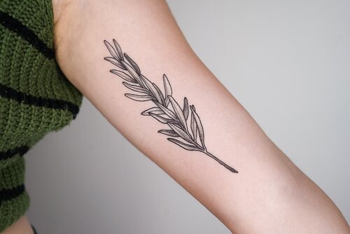 Forearm Body Art with Rosemary