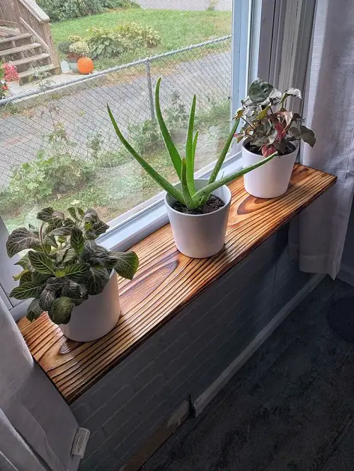 Clever Ways to Grow More Plants on a Windowsill