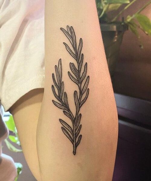 Custom Rosemary Ink Idea