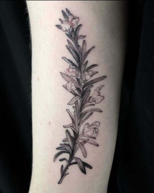 Shaded Rosemary Feminine Ink