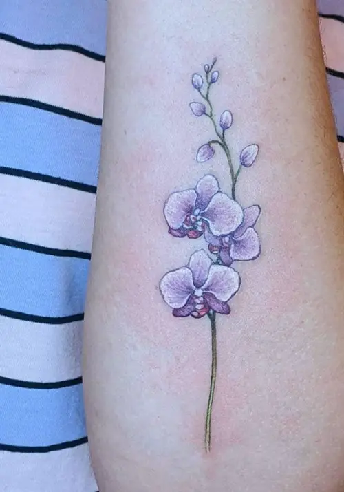 White Orchid on the Forearm Tattoo