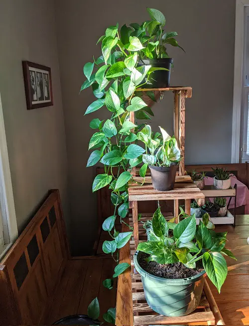 Wooden Crates Ladder Arrangement