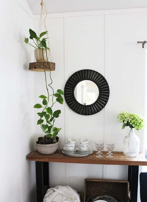 diy Rope and Stump Hanger for Pothos